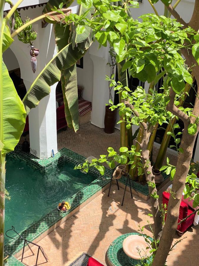 达尔苏凯娜摩洛哥传统庭院旅馆 摩洛哥传统庭院住宅 马拉喀什